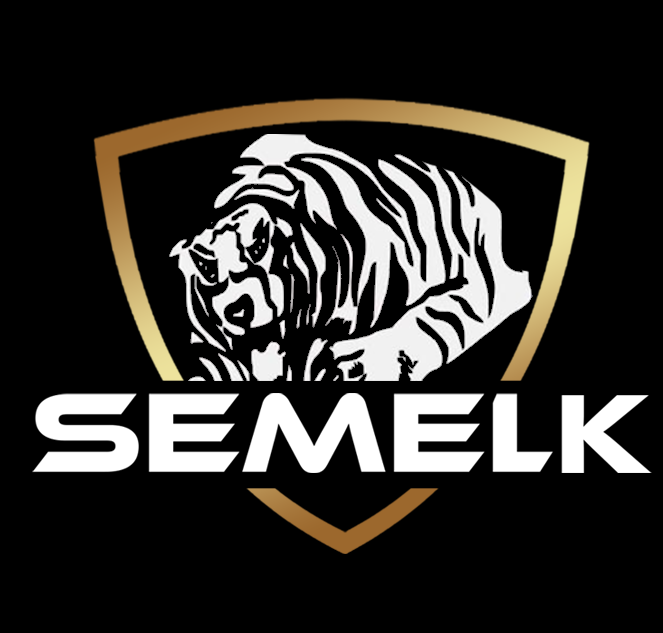 semelkseguranca.com.br